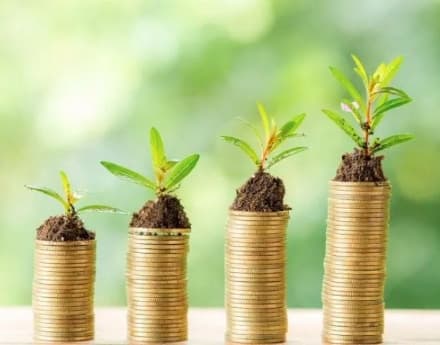 moedas-com-plantas-em-cima